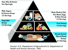 | Food Guide Pyramid |